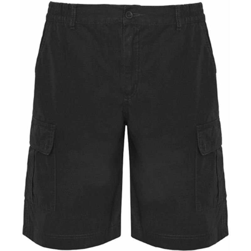

Pantalón Laboral Corto Armour BE67250102 Negro L
