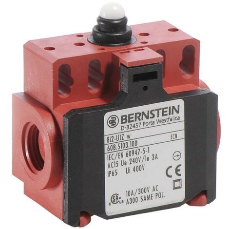 Bernstein 6085103100 BI2-U1Z W Fine corsa 240 V/AC 10 A Pistone Momentaneo IP65 1 pz.