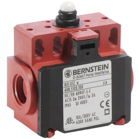 BERNSTEIN 6085153107 BI2-SU1Z W Fine corsa 240 V/AC 10 A Pistone Momentaneo IP65 1 pz.