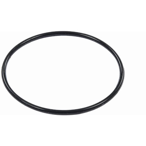 BESTWAY - P6664 - Guarnizione per pompa filtro a sabbia