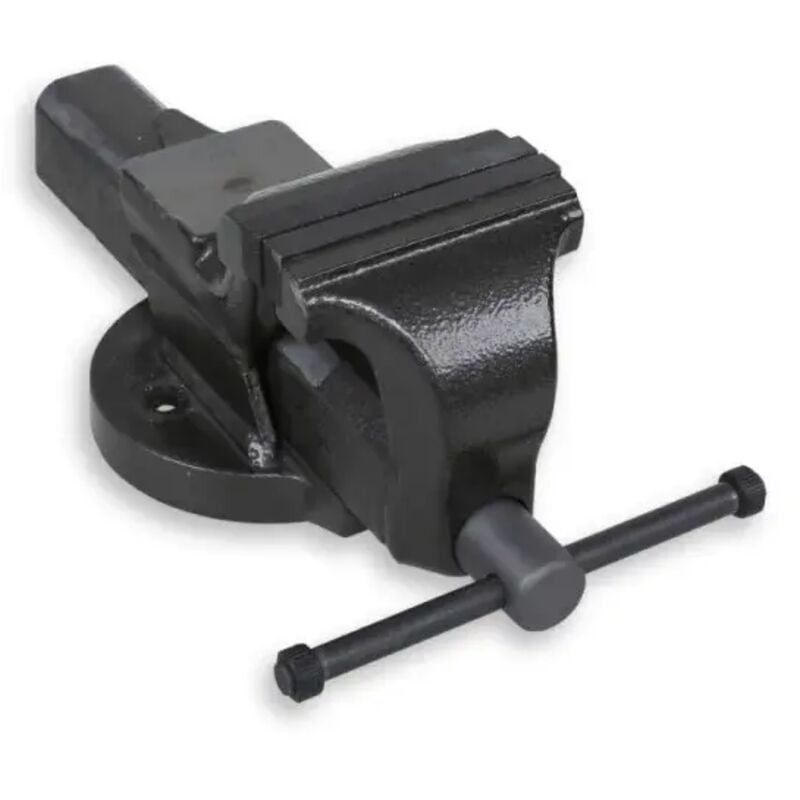 Beta - 1599GI Etau d'établi parallèle à mâchoires interchangeables - 175 mm