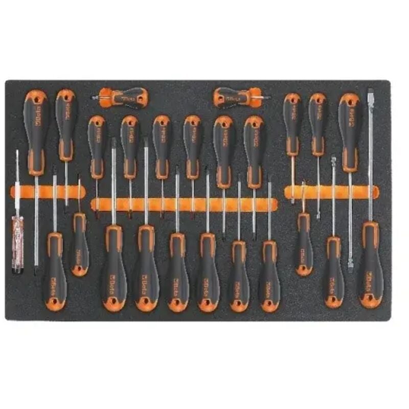 Beta - M213 Moule thermoformé souple avec assortiment 25 Pcs.