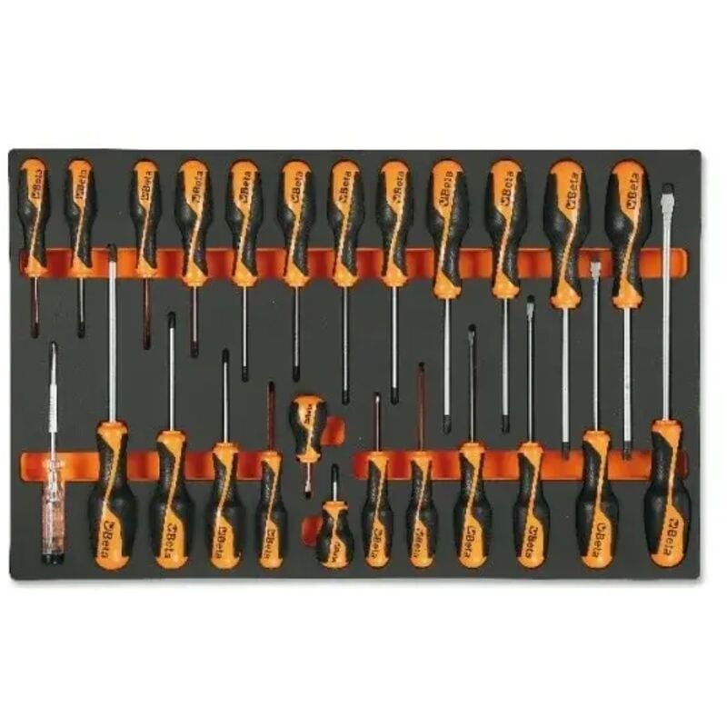 Beta - M195 Moule thermoformé souple avec assortiment 25 Pcs. - 25