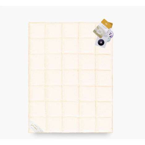 Bettdecke GÄNSEDAUNEN 70% 220x200 Basic Plus 2500g PREMIUM creme Warm