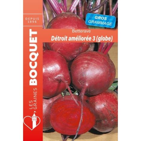 Betterave de Détroit améliorée-3 (ronde) GROS GRAMMAGE - 21g
