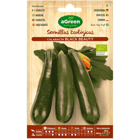 Beutel mit Bio-Zucchinisamen Black Beauty Agreen