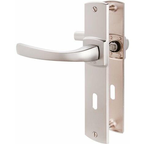Poignée de porte sur plaque chromé velours - Clé L - 220 mm - Muze - Vachette