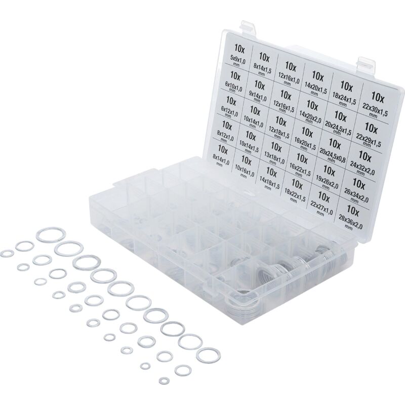 Assortimento Anelli Di Tenuta Alluminio 300 Pz.