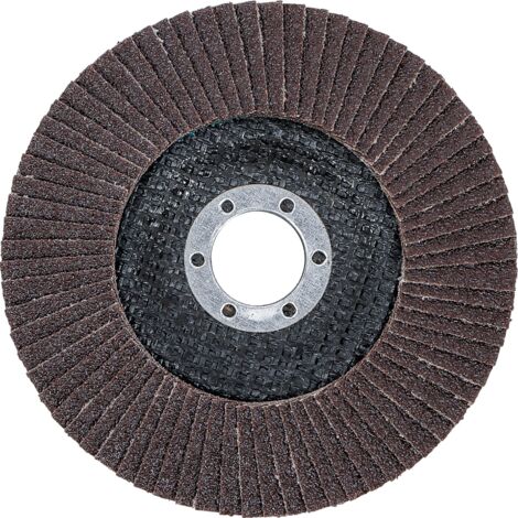 BGS Disque abrasif en éventail Ø 125 mm K 80 - 3976