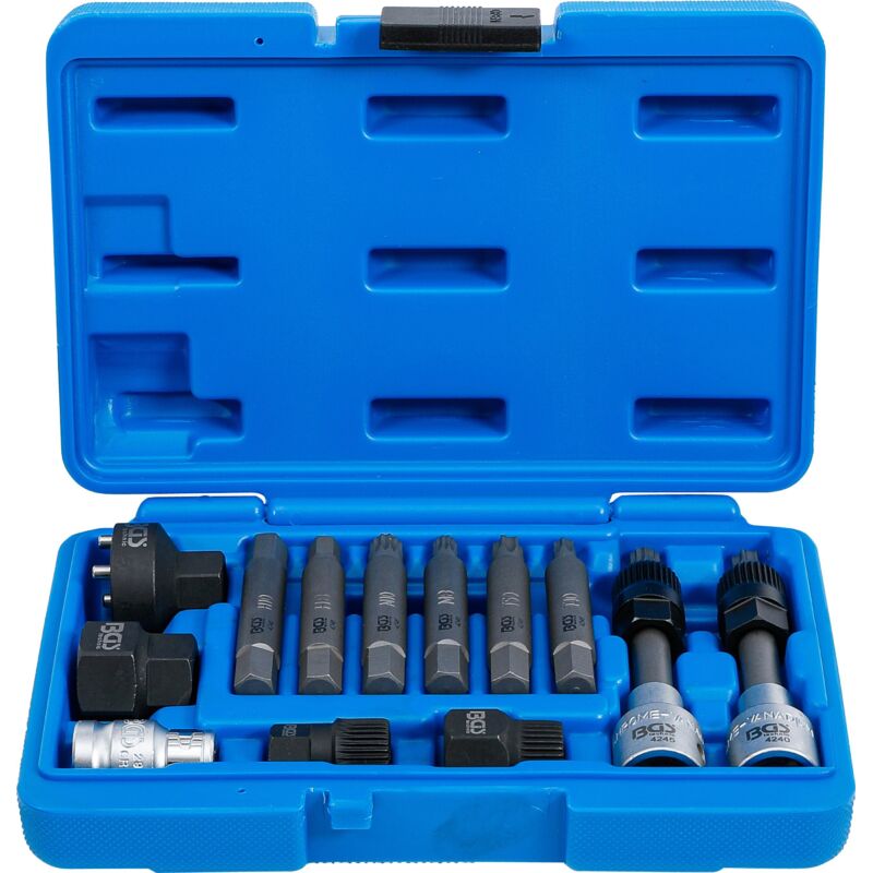 Bgs Technic - Jeu de douilles à embouts pour alternateur 12,5 mm (1/2') 13 pièces
