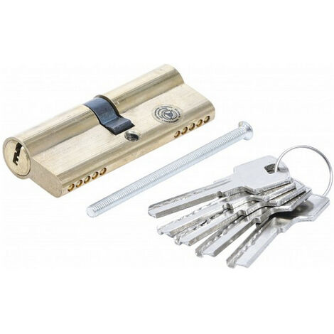 Bgs Technic – Cylindre de serrure 80 mm en laiton – 5 clés incluses – Sécurisation renforcée contre les intrusions – Compatible portes standard