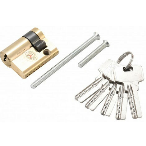 Bgs Technic – Cylindre de serrure porte de garage 30 + 10 mm – Laiton – 5 clés incluses – Sécurise vos portes extérieures