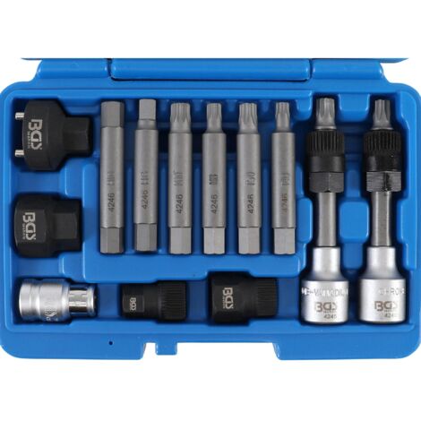 Bgs Technic – Outil pour poulie roue libre d'alternateur – Kit d'outils avec douilles et embouts – Compatible VW, Audi, BMW, Ford, Mercedes