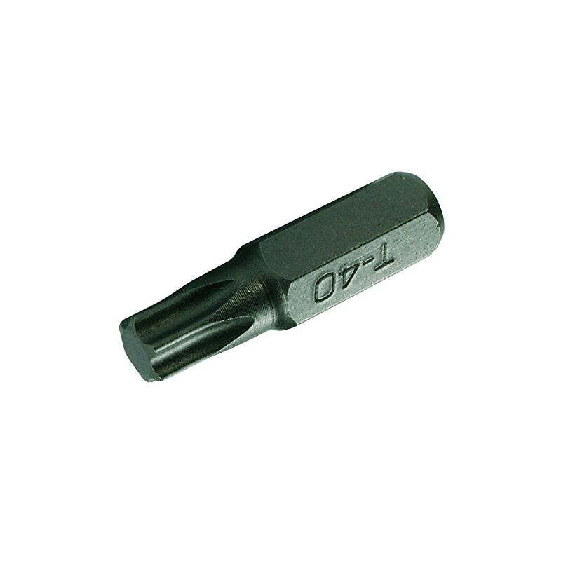 

Bgs 8165 | Punta | Entrada 8 Mm (5/16') | Perfil En T (Para Torx) T45