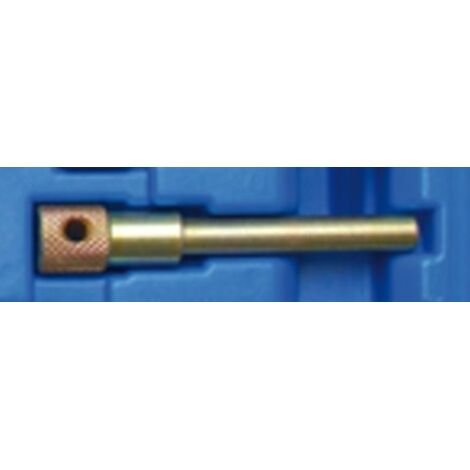 BGS VOLANT MOTEUR DE BROCHE DE FIXATION RENAULT, 1 PIÈCE, 8154-4
