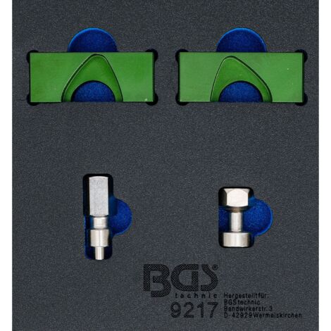 BGS Werkstattwageneinlage 1/6: Motor-Einstellwerkzeug-Satz für Alfa Romeo 2.0 JTS - 9217
