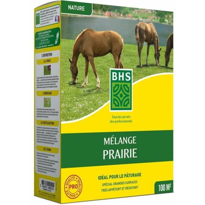 Serrurerie-Boutique Bhs Mischung Wiese Rasensamen 1 Kg Deckung 40 M²