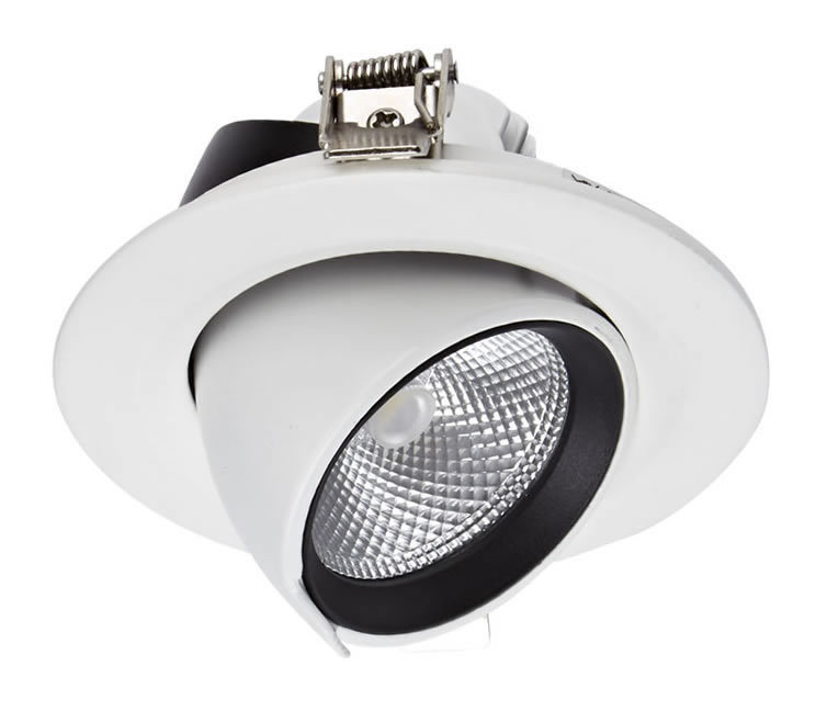 Biard 10w Led Directional Recessed Dimmable Downlight