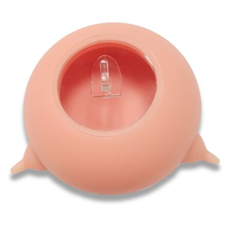 Biberon pour Chats et Chiots - Bol d'Alimentation avec 3 Tétines en Silicone de Niveau Alimentaire - Pour Nouveau-Nés (Rose, 200ml, 10.5x10.5x5cm)