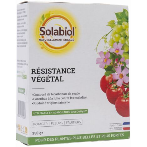 Bicarbonato di sodio 350 gr Solabiol