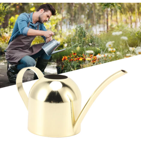 【Bidon d'arrosage】 Bidon en acier inoxydable grand volume avec longue buse dorée pour jardinage maison indoor/outdoor
