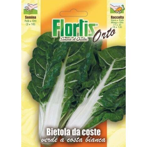BIETOLA DA COSTE BIANCHE