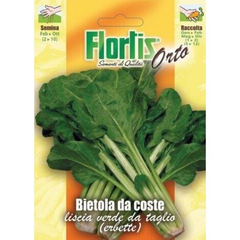 BIETOLA DA COSTE ERBETTE