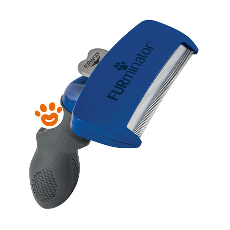 AIRROBO PG10 Rasoio Per Cani Con Aspirapolvere 12000 Pa, Spazzola Per La Rimozione Dei Animali Domestici, Per Cani E Gatti, Con Attrezzi Per La Cura, Contenitore Della Polvere Da 1,4L - Foto 5