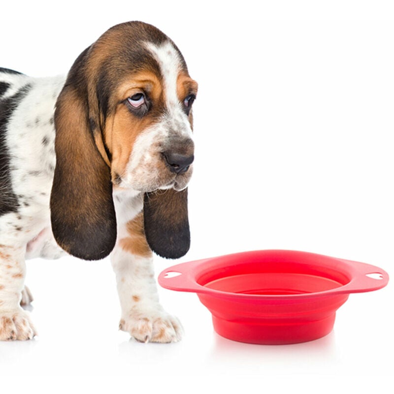 

Comedero Plegable para Mascotas Heart - Bigbuy Pets