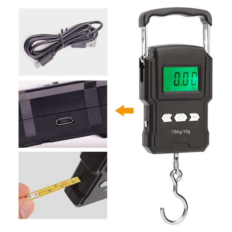 Bilancia elettronica portatile, bilancia da pesce