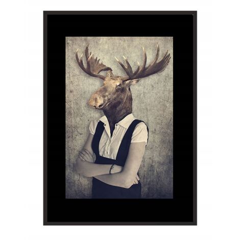Bild Poster im Rahmen 43x33 cm Hirsch P773