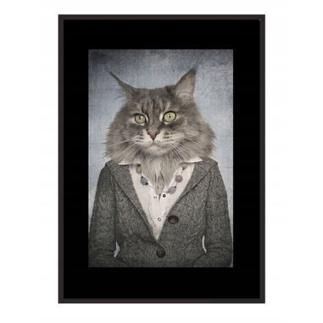 Bild Poster im Rahmen 43x33 cm Katze P771