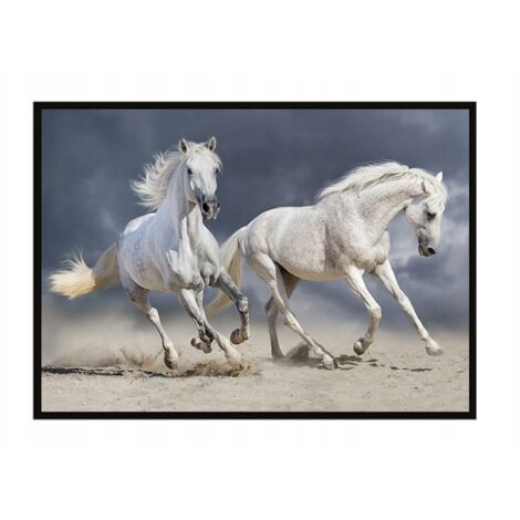 Bild Poster im Rahmen 43x33 cm Pferde P898