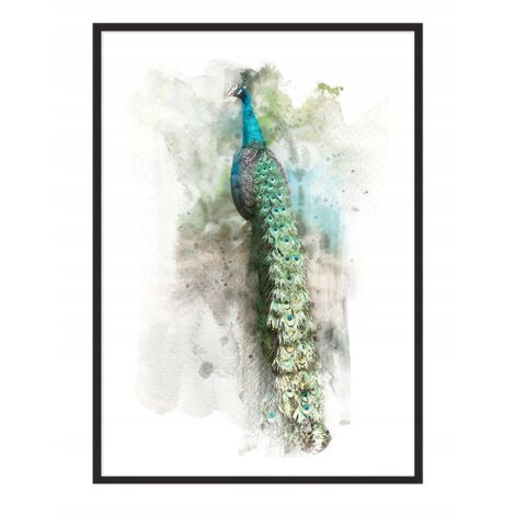 Bild Poster im Rahmen 43x33 cm Pfote P768