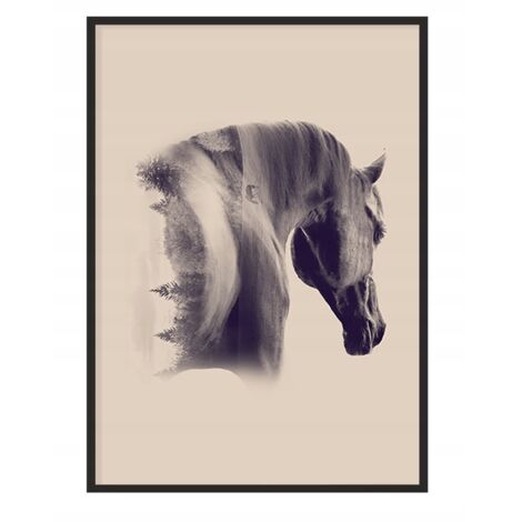 Bild Poster im Rahmen 43x33cm Pferd P1228