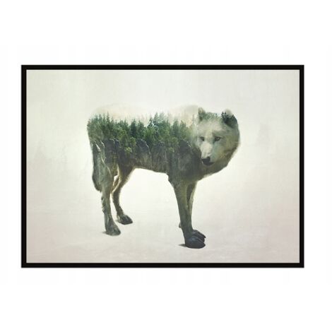 Bild Poster im Rahmen 43x33cm Wolf P1201