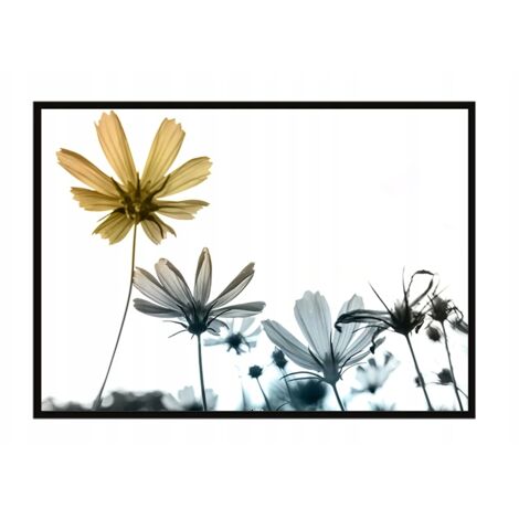 Bild Poster im Rahmen 53x73 cm Blumen P1052