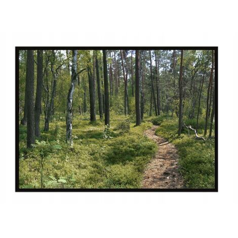 Bild Poster im Rahmen 53x73 cm Wald P1898