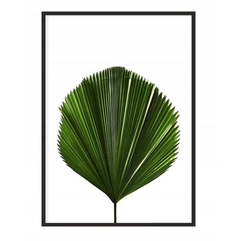 Bildplakat im Rahmen 43x33 cm Blatt P1150