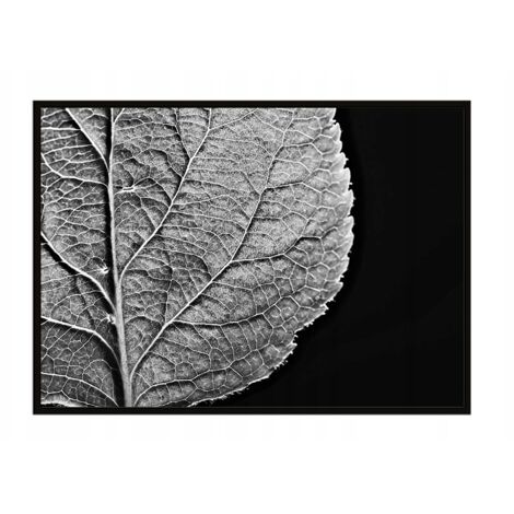 Bildplakat im Rahmen 43x33 cm Blatt P908