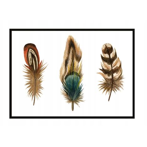 Bildplakat im Rahmen 43x33 cm Federn P935