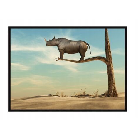 Bildplakat im Rahmen, A4 cm, Nashorn, PD227