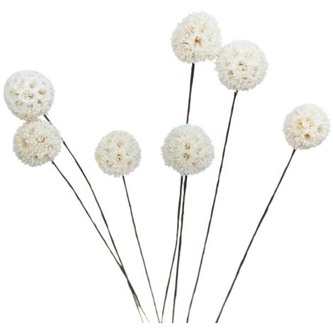 Billy Ball Flowers Dried Flowers Artificial Dried Flowers Home Garden Decoration