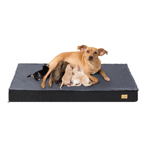 Bingo Paw – Coussin orthopédique pour chien XXL 120x75cm – Mousse à mémoire de forme – Housse lavable et imperméable – Antidérapant