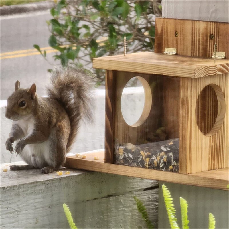 Bingopaw Mangeoires pour écureuils pour l'extérieur, Table d'alimentation pour écureuils, Mangeoire pour écureuils à l'extérieur de la Maison