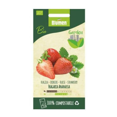 Bio-Erdbeersamen