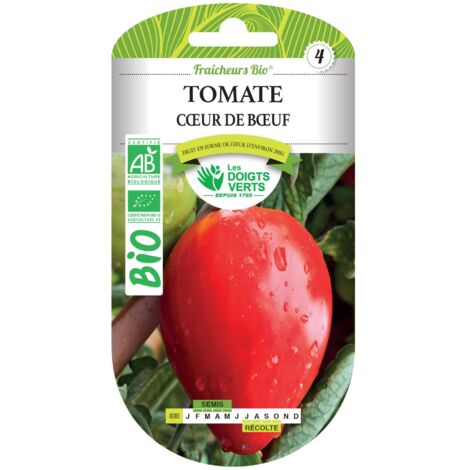 BIO Fleischtomaten-Samen Leuchtende Finger