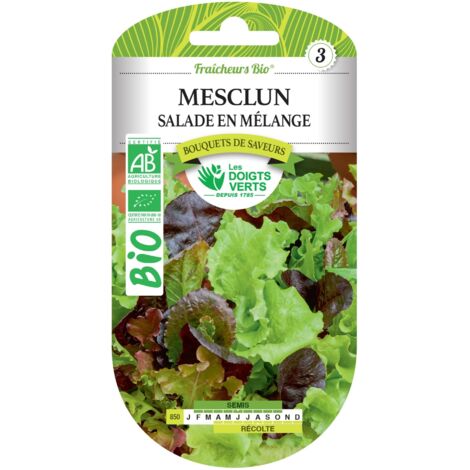 BIO Mesclun-Salatensamen Die Grünen Finger