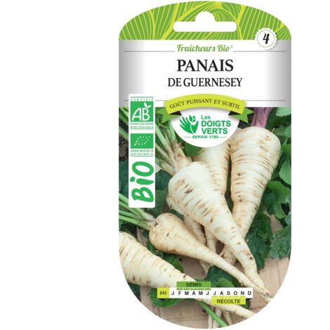 BIO Pastinaken samen Guernsey Die Grünen Finger