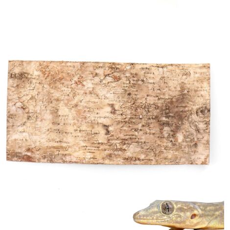 BioBirch Bark sfondo in corteccia di betulla pressata 40x20cm